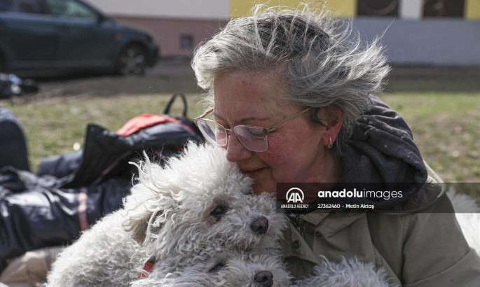 Мешканка Ірпеня евакуювалася разом із 24 собаками